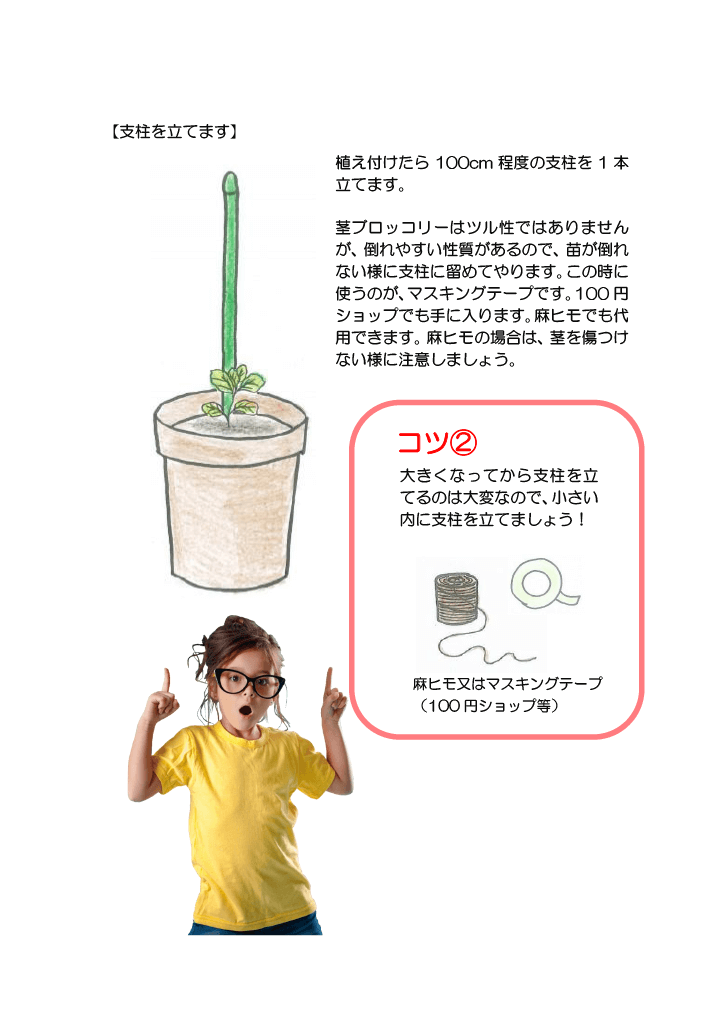 プランターで茎ブロッコリーの育て方5